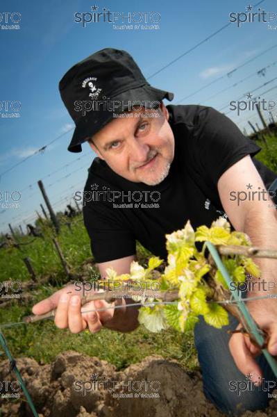 France, Gironde, Saint-Pierre-de-Mons, Jean-Baptiste Duquesne, propriétaire du Chateau Cazebonne, Vins en Biodynamie à partir de cépages oubliés, Collectif Bordeaux Pirate, Vignoble Bordelais (220427_Cephas_55.jpg)