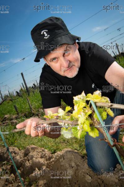 France, Gironde, Saint-Pierre-de-Mons, Jean-Baptiste Duquesne, propriétaire du Chateau Cazebonne, Vins en Biodynamie à partir de cépages oubliés, Collectif Bordeaux Pirate, Vignoble Bordelais (220427_Cephas_56.jpg)