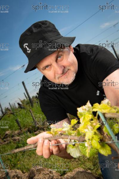 France, Gironde, Saint-Pierre-de-Mons, Jean-Baptiste Duquesne, propriétaire du Chateau Cazebonne, Vins en Biodynamie à partir de cépages oubliés, Collectif Bordeaux Pirate, Vignoble Bordelais (220427_Cephas_58.jpg)