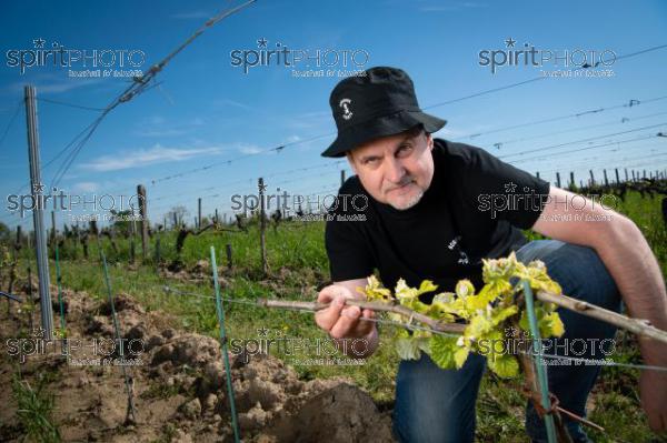 France, Gironde, Saint-Pierre-de-Mons, Jean-Baptiste Duquesne, propriétaire du Chateau Cazebonne, Vins en Biodynamie à partir de cépages oubliés, Collectif Bordeaux Pirate, Vignoble Bordelais (220427_Cephas_59.jpg)