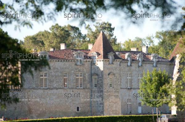 Chteau de Cazeneuve (330132.jpg)