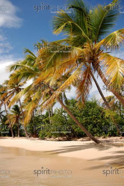 Plage des Sallines-Martinique (AB_00041.jpg)