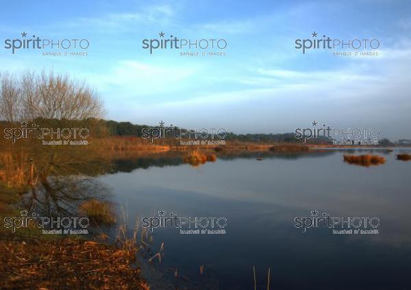 Lac de Biscarosse-Landes (AB_00051.jpg)