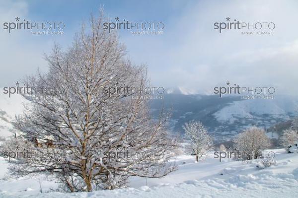 Paysage d'hiver-St-Lary (AB_00071.jpg)