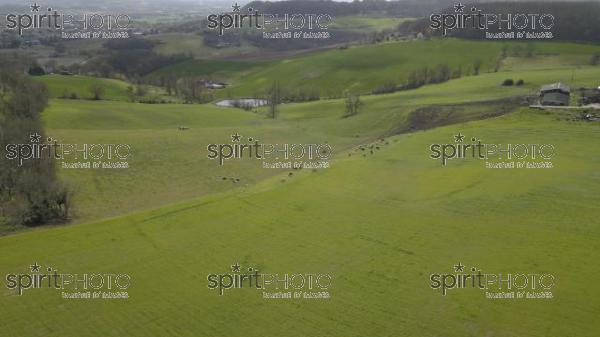 Aerial view of campaign landscape in the French countryside, Gironde (BWP_00005.jpg)