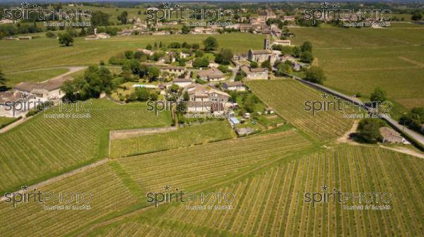 Aerial view Montagne Saint-Emilion, Aquitaine, Bordeaux Wineyard (BWP_00062.jpg)