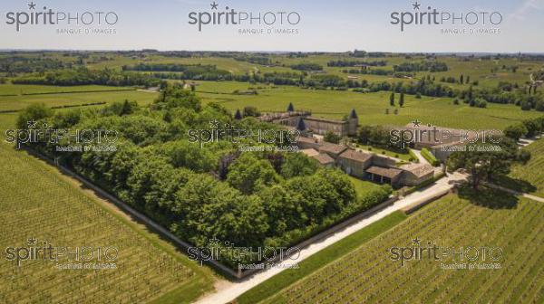 Aerial view Montagne Saint-Emilion, Aquitaine, Bordeaux Wineyard (BWP_00064.jpg)