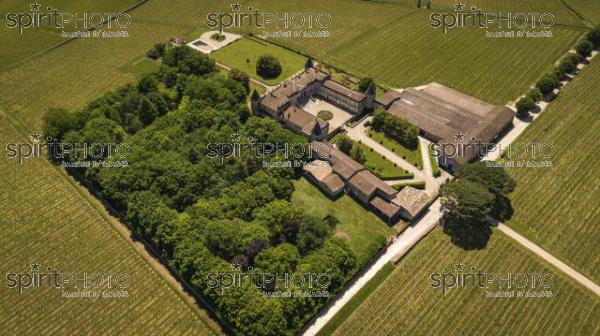 Aerial view Montagne Saint-Emilion, Aquitaine, Bordeaux Wineyard (BWP_00065.jpg)