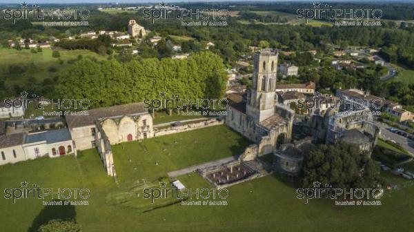 Aerial view Abbey de la Sauve-Majeure, Route to Santiago de Compostela, France, UNESCO (BWP_00100.jpg)