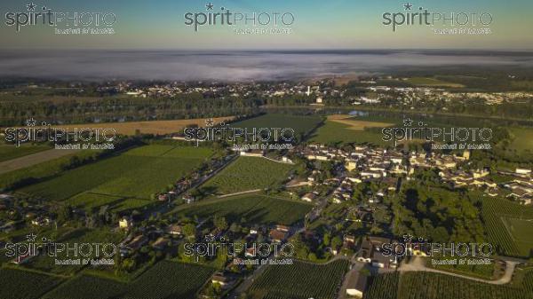 Aerial view, Bordeaux vineyard, landscape vineyard south west of france (BWP_00446.jpg)
