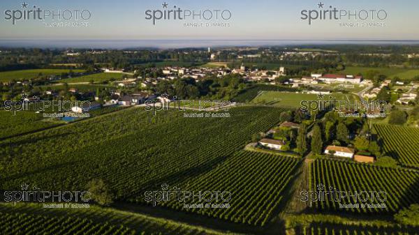 Aerial view, Bordeaux vineyard, landscape vineyard south west of france (BWP_00447.jpg)