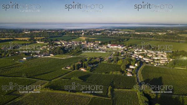 Aerial view, Bordeaux vineyard, landscape vineyard south west of france (BWP_00448.jpg)