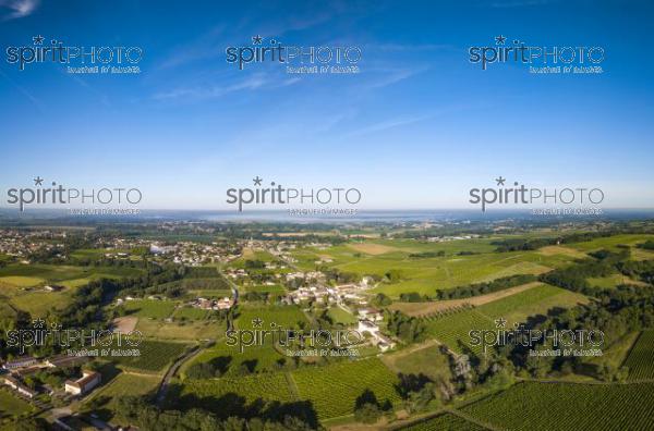 Aerial view, Bordeaux vineyard, landscape vineyard south west of france (BWP_00450.jpg)