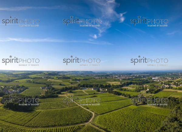 Aerial view, Bordeaux vineyard, landscape vineyard south west of france (BWP_00452.jpg)