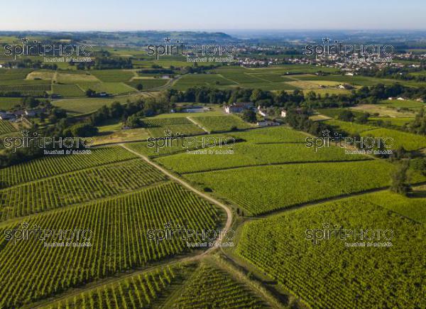 Aerial view, Bordeaux vineyard, landscape vineyard south west of france (BWP_00453.jpg)