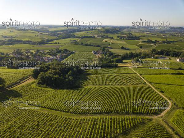 Aerial view, Bordeaux vineyard, landscape vineyard south west of france (BWP_00454.jpg)