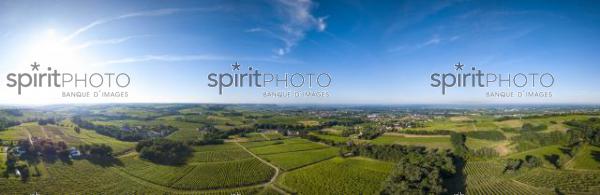 Aerial view, Bordeaux vineyard, landscape vineyard south west of france (BWP_00455.jpg)
