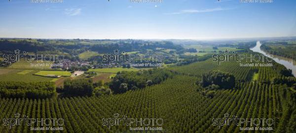Aerial view, Bordeaux vineyard, landscape vineyard south west of france (BWP_00462.jpg)