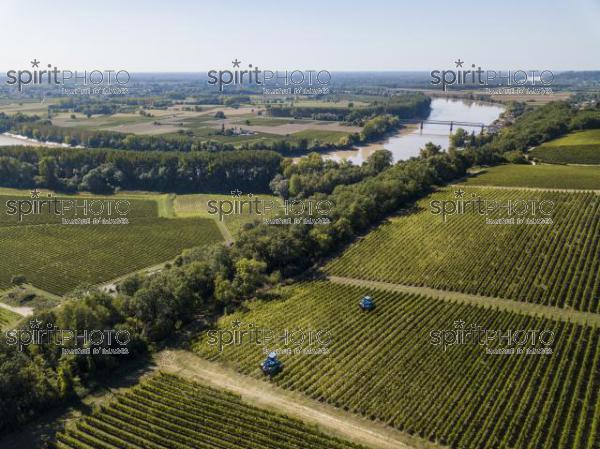 Aerial view Bordeaux Vineyard at sunrise, Entre deux mers, Langoiran, Gironde (BWP_00484.jpg)