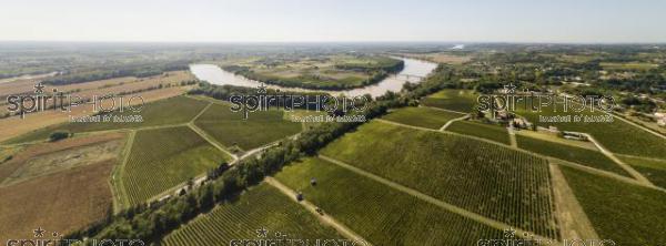 Aerial view Bordeaux Vineyard at sunrise, Entre deux mers, Langoiran, Gironde (BWP_00487.jpg)