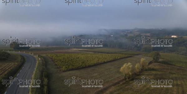 Aerial view, Bordeaux vineyard, landscape vineyard and fog at sunrise (BWP_00488.jpg)