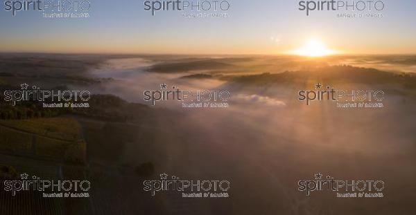 Aerial view, Bordeaux vineyard, landscape vineyard and fog at sunrise (BWP_00493.jpg)