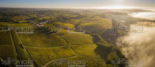 Aerial view Bordeaux Vineyard at sunrise, Entre deux mers, Langoiran, Gironde (BWP_00500.jpg)