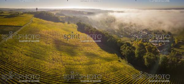 Aerial view Bordeaux Vineyard at sunrise, Entre deux mers, Langoiran, Gironde (BWP_00501.jpg)
