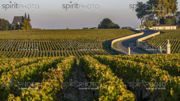 Route des Chateaux, Vineyard in Medoc, amous wine estate of Bordeaux wine (BWP_00506.jpg)
