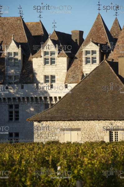 The castle of Monbazillac, historical monument, Sweet botrytized wines have been made in Monbazillac (BWP_00562.jpg)