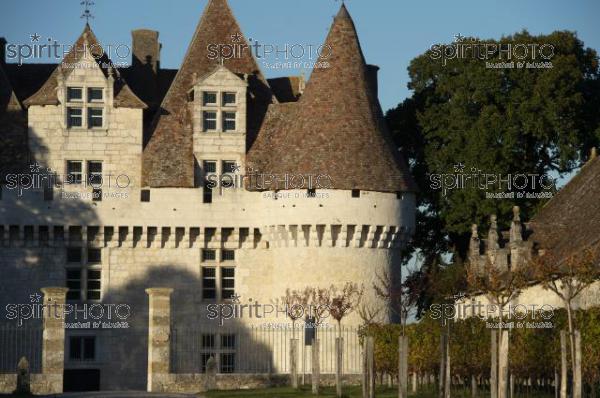 The castle of Monbazillac, historical monument, Sweet botrytized wines have been made in Monbazillac (BWP_00592.jpg)