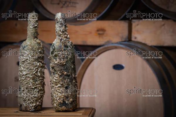 GIRONDE (33), SAINT-CIERS-SUR-GIRONDE,DOMAINE DU CASSARD, CUVEE MARINE  VIGNOBLE BORDELAIS, Eric BILLIERES, VITICULTEUR, SOMMELIER est un passionné toujours à la recherche d’évolution pour améliorer la qualité de ses vins ou sortir des chemins conventionnels. Sa dernière création « bouteilles à la mer » : une partie de sa production de vin blanc élevée dans la mer pendant 8 mois.« Ce vieillissement en mer amène une certaine rondeur et un léger goût iodé. C’est idéal pour accompagner une assiette de fruits de mer. » (CEPHAS_JBNADEAU_010.jpg)