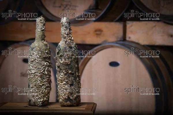 GIRONDE (33), SAINT-CIERS-SUR-GIRONDE,DOMAINE DU CASSARD, CUVEE MARINE  VIGNOBLE BORDELAIS, Eric BILLIERES, VITICULTEUR, SOMMELIER est un passionné toujours à la recherche d’évolution pour améliorer la qualité de ses vins ou sortir des chemins conventionnels. Sa dernière création « bouteilles à la mer » : une partie de sa production de vin blanc élevée dans la mer pendant 8 mois.« Ce vieillissement en mer amène une certaine rondeur et un léger goût iodé. C’est idéal pour accompagner une assiette de fruits de mer. » (CEPHAS_JBNADEAU_011.jpg)