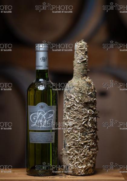 GIRONDE (33), SAINT-CIERS-SUR-GIRONDE,DOMAINE DU CASSARD, CUVEE MARINE  VIGNOBLE BORDELAIS, Eric BILLIERES, VITICULTEUR, SOMMELIER est un passionné toujours à la recherche d’évolution pour améliorer la qualité de ses vins ou sortir des chemins conventionnels. Sa dernière création « bouteilles à la mer » : une partie de sa production de vin blanc élevée dans la mer pendant 8 mois.« Ce vieillissement en mer amène une certaine rondeur et un léger goût iodé. C’est idéal pour accompagner une assiette de fruits de mer. » (CEPHAS_JBNADEAU_019.jpg)