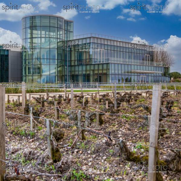 FRANCE, GIRONDE, PAUILLAC, CHATEAU LYNCH-BAGES, ARCHITECTE AMÉRICAIN CHIEN CHUNG PEI, GRAND CRU CLASSE PAUILLAC, MEDOC, VIGNOBLE BORDELAIS (Cephas_220413_10.jpg)