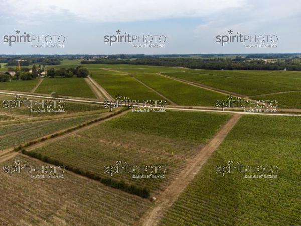 (DJI_0259-HDR.jpg)