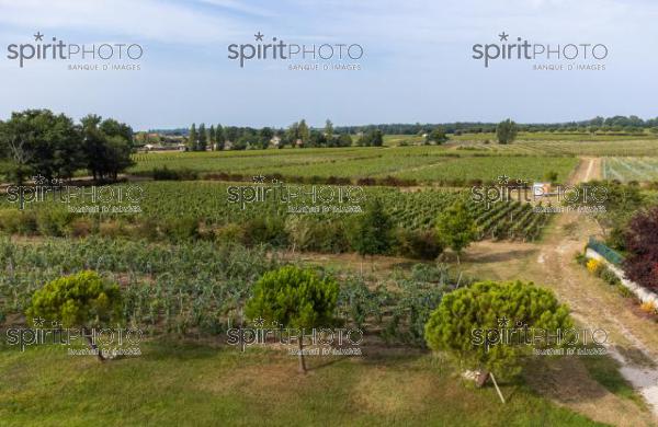  (DJI_0287-HDR.jpg)