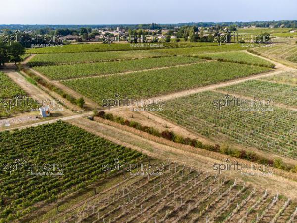  (DJI_0307-HDR.jpg)