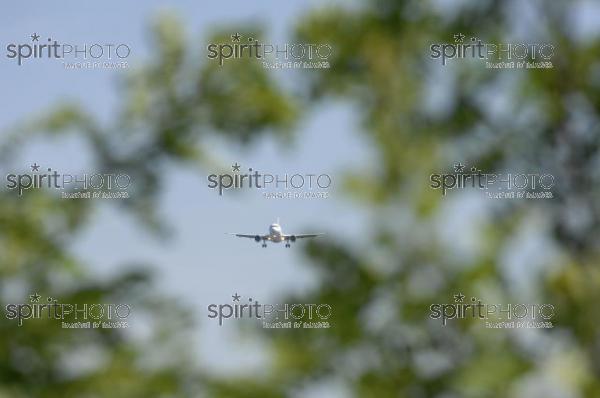 Avion - Transport (DSC_0677.jpg)