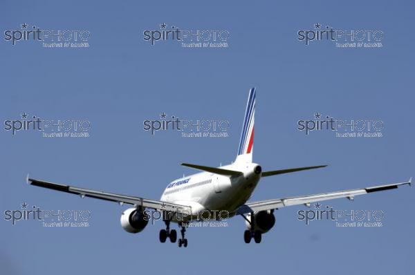 Avion - Transport (DSC_0693.jpg)