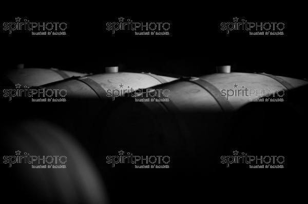 Pomerol-Barriques Bordelaises (JBNADEAU_00570-2.jpg)