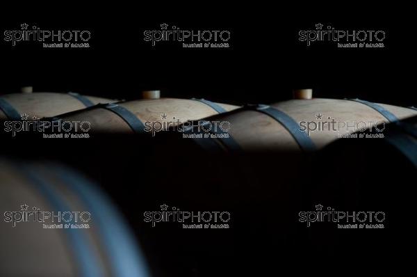 Pomerol-Barriques Bordelaises (JBNADEAU_00570.jpg)