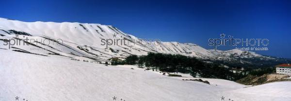Liban-Les Cdres Gants de Becharr sous la neige (JBNADEAU_00594.jpg)