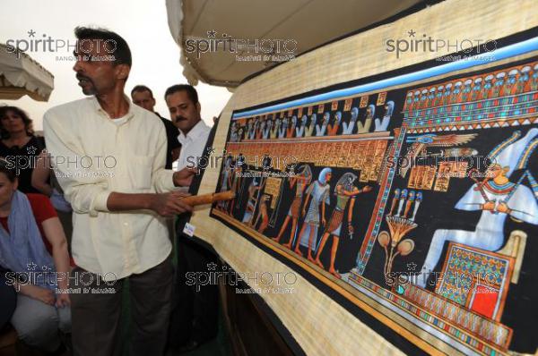 Egypte-Papyrus (JBNADEAU_00770.jpg)