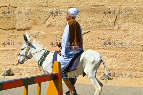 Egypte - Valle des Nobles (JBNADEAU_00835.jpg)