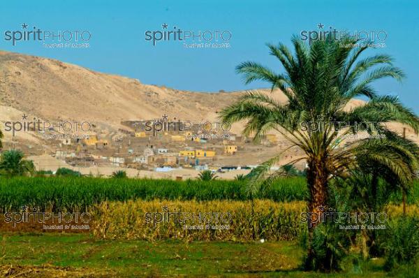 Egypte - Valle des Nobles (JBNADEAU_00838.jpg)