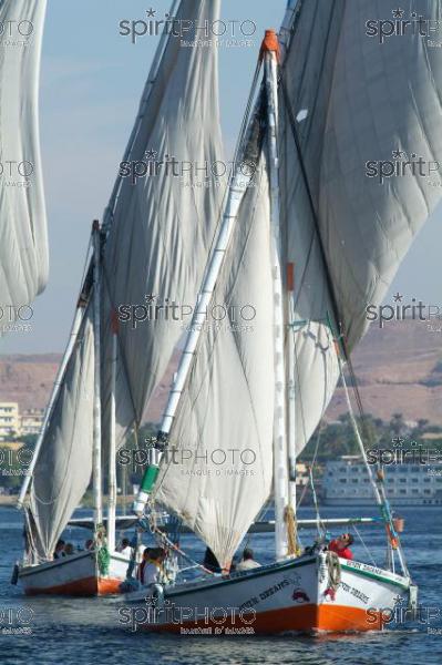 Egypte - Felouques sur le Nil (JBNADEAU_00891.jpg)