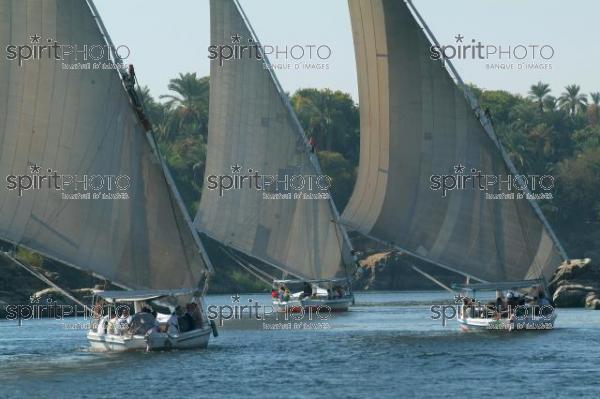 Egypte - Felouques sur le Nil (JBNADEAU_00894.jpg)