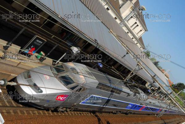 TGV en Gare - Transport (JBNADEAU_01153.jpg)