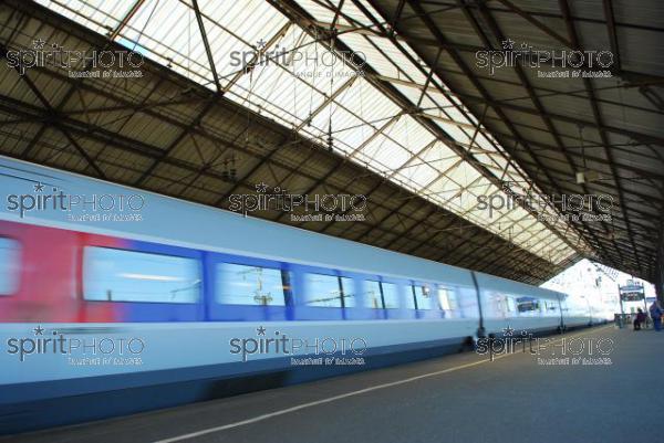 TGV en Gare - Transport (JBNADEAU_01163.jpg)